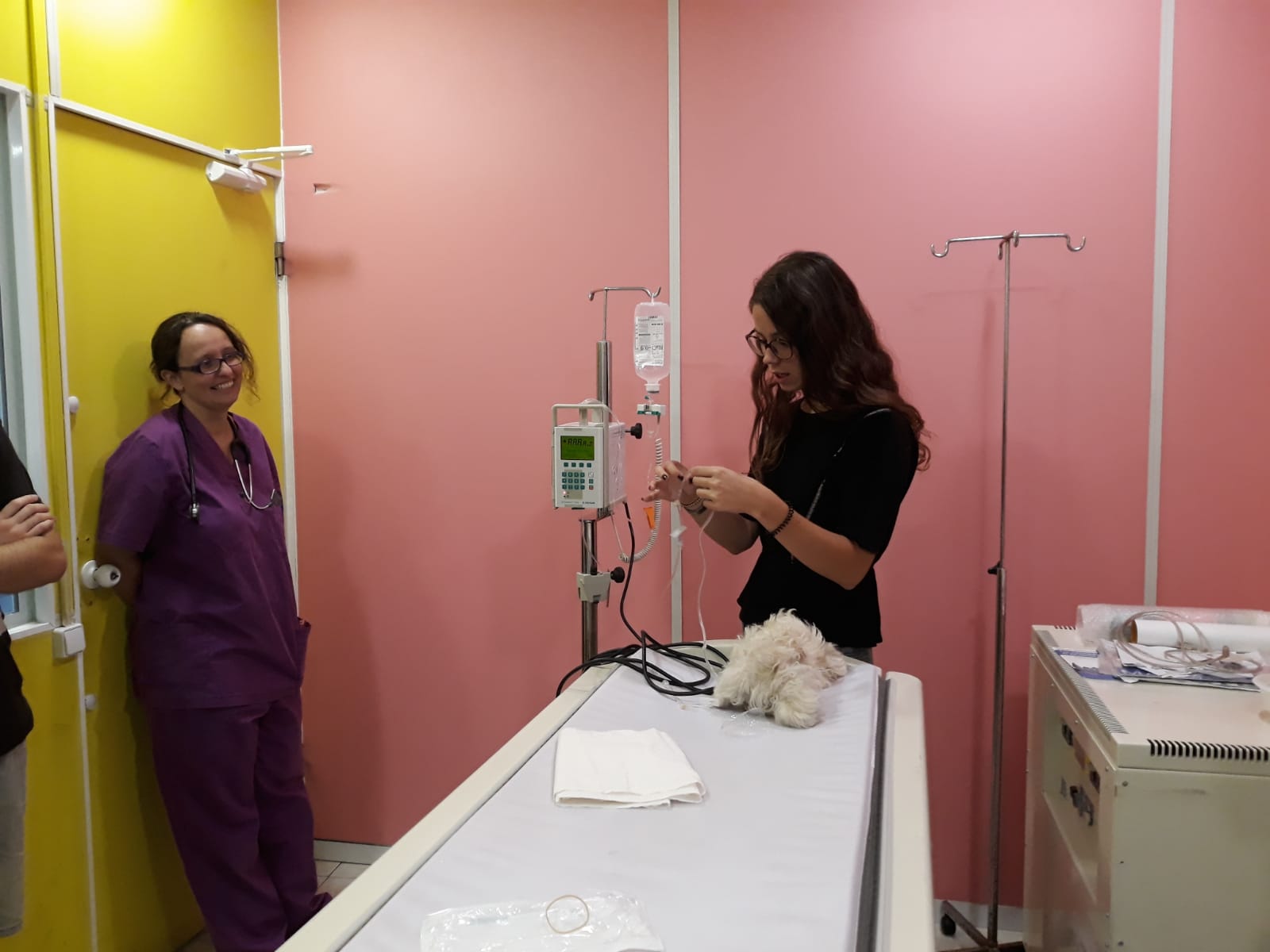 Clases y Talleres de Clínica Veterinaria