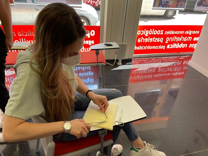 Clases y Talleres de Clínica Veterinaria